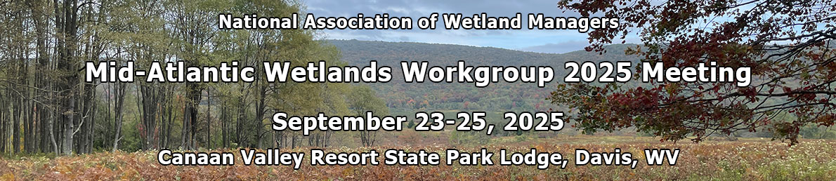 MAWWG 2025 Meeting
