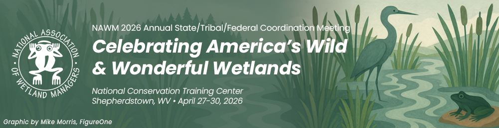 NAWM's 2026 Abstract Submission Form